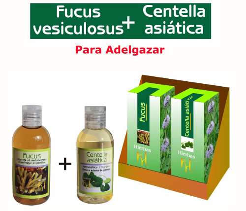 Fucus + Centella Asiatica Adelgazar Estar Forma Dieta Peso